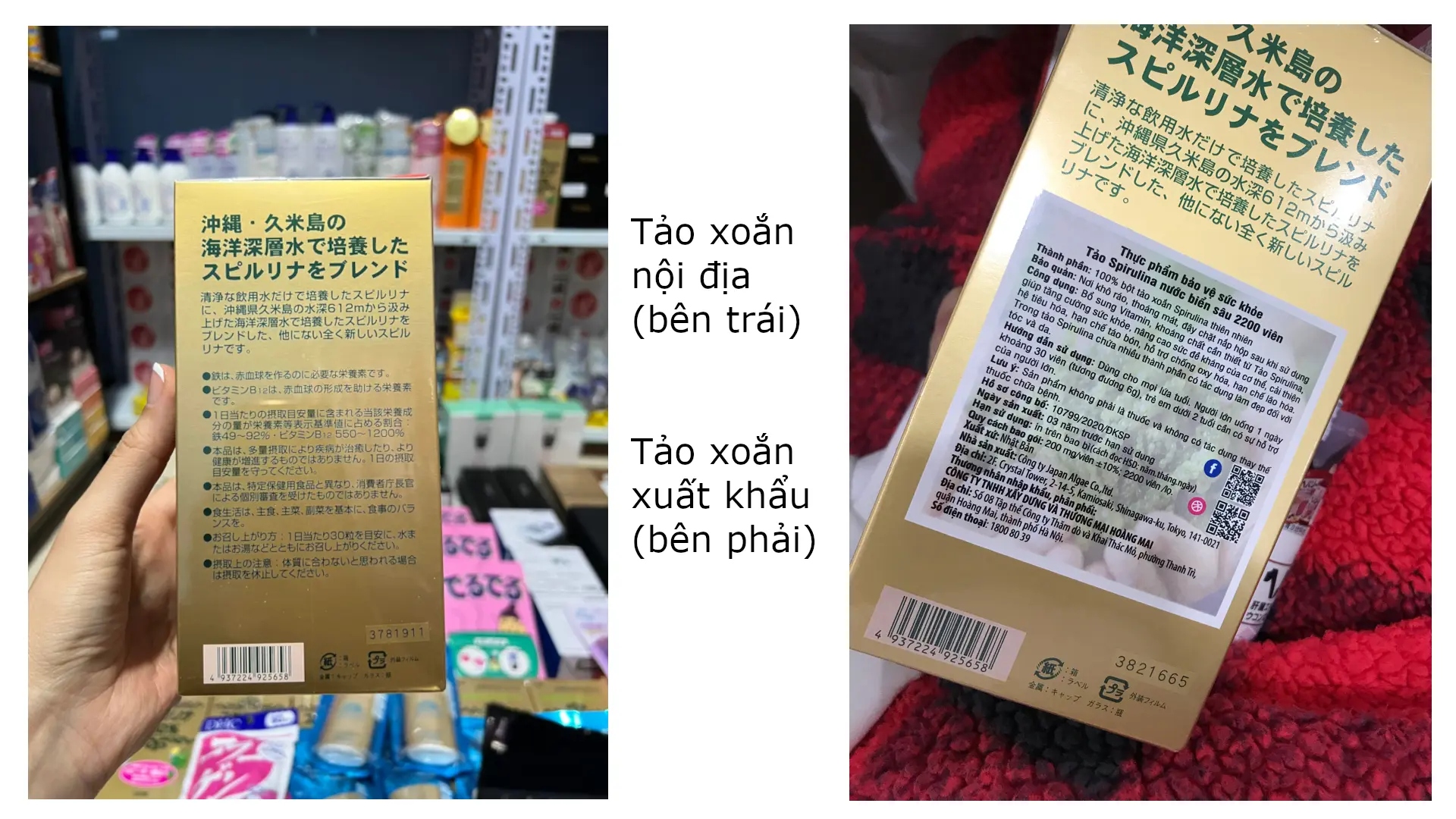 So sánh tảo nội địa và xuất khẩu